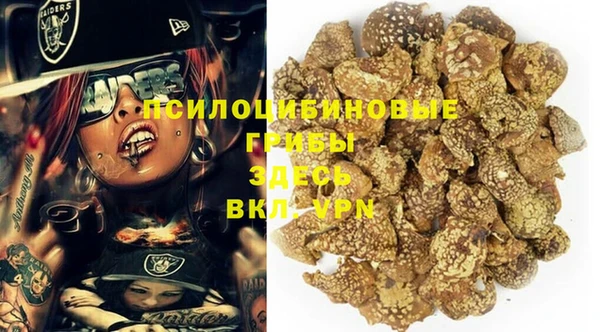 кокаин Каменка