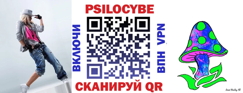 Купить  Моршанск  Псилоцибиновые грибы Psilocybine cubensis 